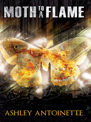 Moth to a Flame - ebook